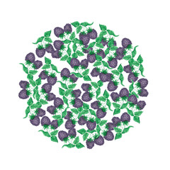 Hand drawn watercolor blackberry round composition with green leaves isolated on white background. Can be used for cards, label and other printed products.