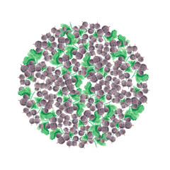 Hand drawn watercolor blackcurrant round composition with green leaves isolated on white background. Can be used for cards, label and other printed products.