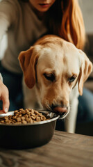 Cropped view of woman feeding dog with bowl of dry food at home