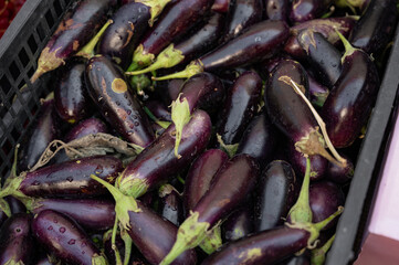 Eggplant close-up on a street stall tray. Fresh fruits and vegetables. Background with juicy and...
