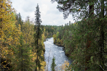 View to Aallokkokoski rapids in the middle of colorful forest during fall foliage in Oulanka National Park, Northern Finland