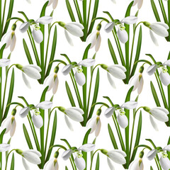 Early spring snowdrop first flowers realistic vector illustration. Cute forest white flowers, snowdrop spring blossom. Galanthus nivalis blooming plant springtime blossom seamless pattern. Rare plant