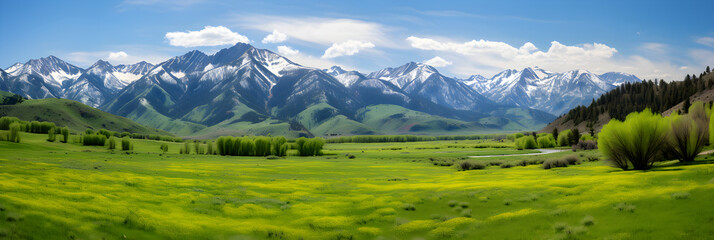 Springtime Serenity: An Exquisite Display of Timberland and Mountains in the Heart of Mother Nature