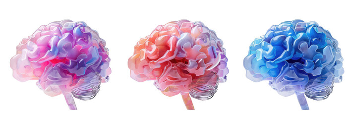Three colorful brain models with an artistic, translucent appearance in pink, coral, and blue shades. - obrazy, fototapety, plakaty