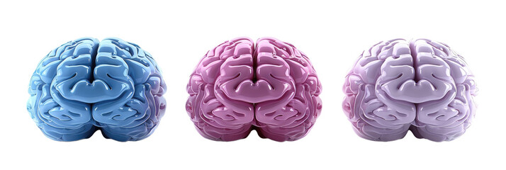 Obraz premium Three stylized brains in shades of blue, pink, and lavender with a smooth, clay-like texture.