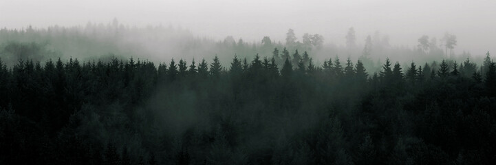 Mountain landscape, forest with fog, mountains, panorama, Black Forest silhouette trees, copy space.