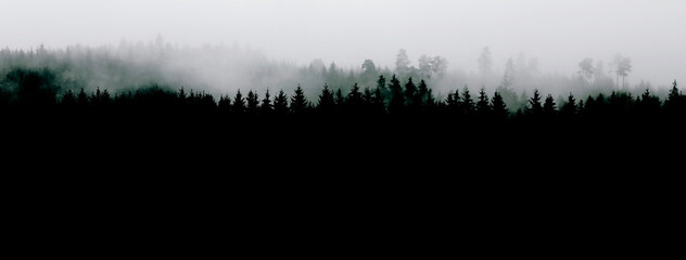 Mountain landscape, forest in the fog, panorama, Black Forest silhouette with conifers, copy space.