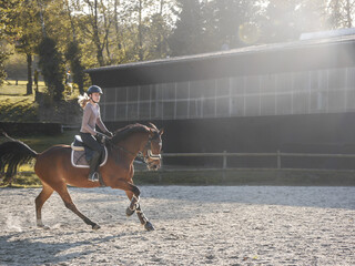 Pferd Galopp 