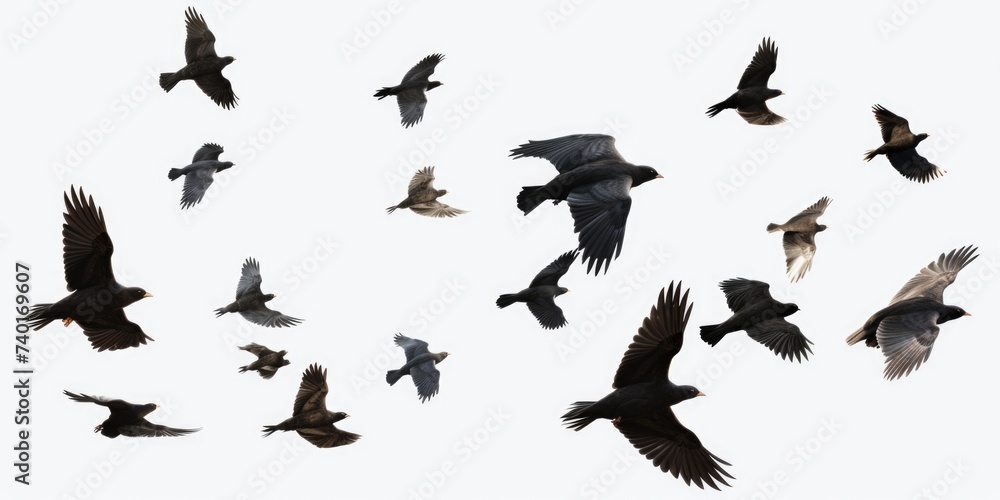 Poster a flock of birds flying in the air. suitable for various nature and wildlife concepts