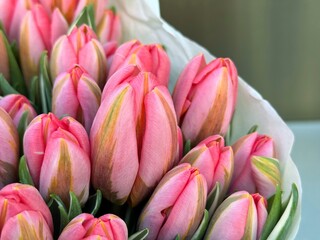 Fototapeta premium Bouquet of pink tulips flowers