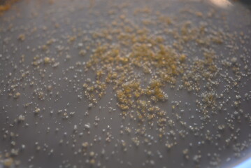 Food, cooking homemade meals. Small yellow grains of gelatin are placed on a white glass plate and illuminated by sunlight. 