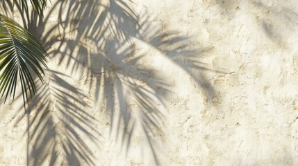 Palm tree shadows on a beige old wall. Mockup for design.