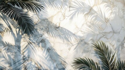 Marble wall with shadow from palm tree