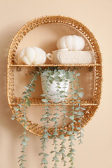 Wicker shelf with houseplant and sponges hanging on beige wall in bathroom, closeup