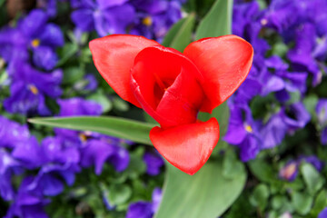 Vaduz, Liechtenstein