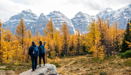 Larch Valley. Banff National Park, Canadian Rockies, Alberta, Canada. Golden yellow larch forest in Fall season. Valley of the Ten Peaks in the background. - obrazy, fototapety, plakaty