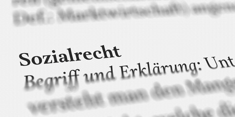 Das Wort Sozialrecht im Buch erklärt