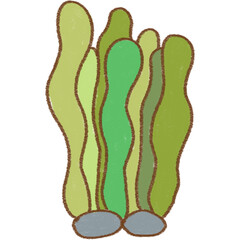 Seaweed beneath the waves is home to cute little sea animals 