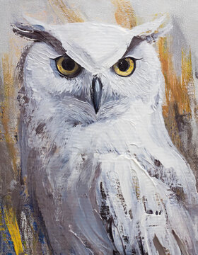 Owl bird abstract art painting