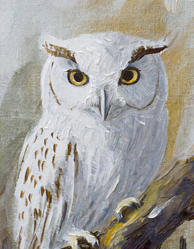 Owl bird abstract art painting