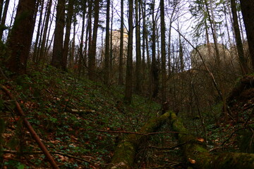 Fototapeta premium Burgruine am Schlossberg, Kirchschlag in der Buckligen Welt 