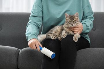 Pet shedding. Woman with lint roller removing cat`s hair from trousers on sofa at home, closeup
