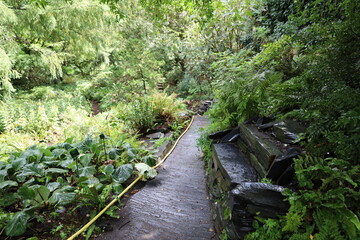 Fototapeta premium alpine garden , botanical garden in the Jardin des Plantes in Paris