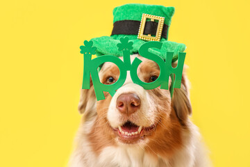 Cute Australian Shepherd dog in leprechaun's hat with eyeglasses on yellow background, closeup. St....