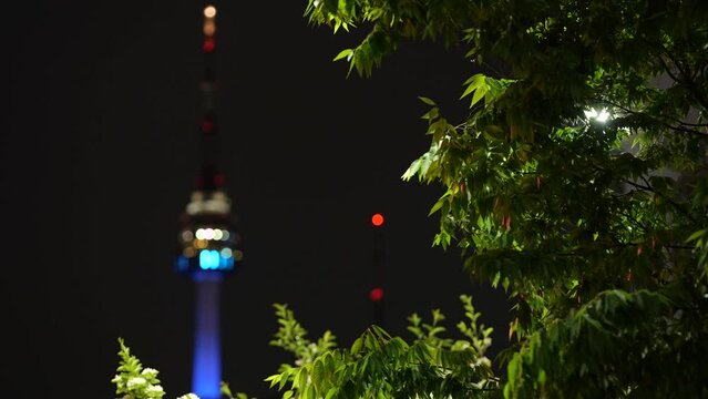 나무 사이의 남산