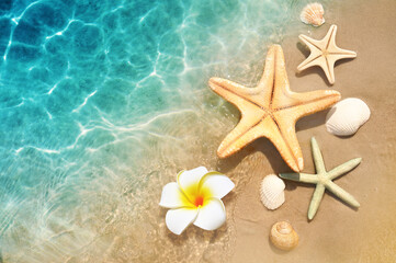 Fototapeta na wymiar Starfish, seashell and flower on the summer beach in sea water. Summer background.