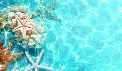 Starfish on the summer beach in sea water. Summer background. - 740204017