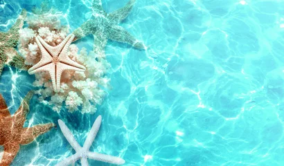 Photo sur Plexiglas Turquoise Starfish on the summer beach in sea water. Summer background.