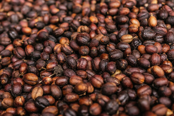 Coffee beans drying in the sun to later be cleaned and roasted.