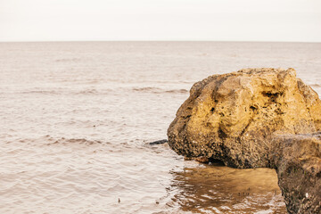 The marsh in Wakulla County, Florida