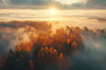 Deurstickers Aerial view of beautiful colorful autumn forest in low clouds at sunrise © Тамара Печеная