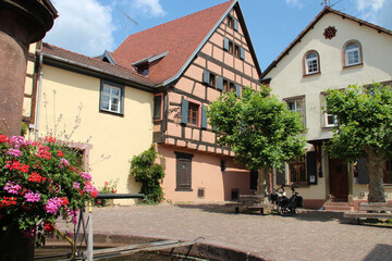 Fototapeta na wymiar fountain, square and old houses in a village (riquewihr) in alsace in france
