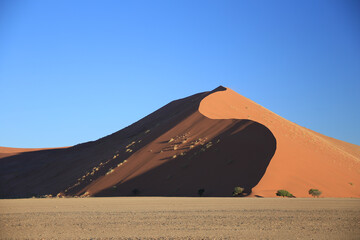 Fototapeta na wymiar red sand dune of namib desert