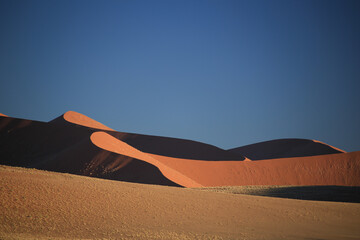 Fototapeta na wymiar red sand landscape of namib desert