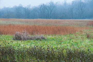 Ohio hay fields in winter with fog and grey skies