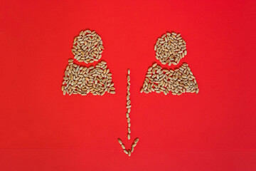 Human silhouettes made with Ukrainian wheat. The arrow is down. Grain dispute. Export quotas. Grain...