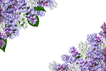 Spring flower corner arrangement. Blooming lilac flowers as a frame isolated on a white background. Design element for creating postcards, wedding cards and invitation. Overlay background.