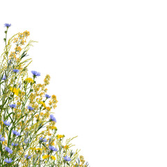Summer floral corner arrangement. Yellow meadow flowers and blue chicory. Wildflowers and herbs as...