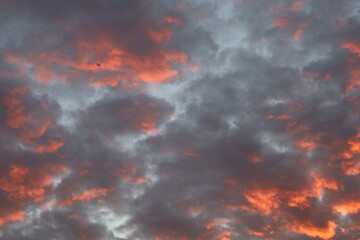 sunset sky with few clouds and pinkish light 