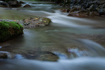 Feuilles posées sur des pierres dans une rivière calme 