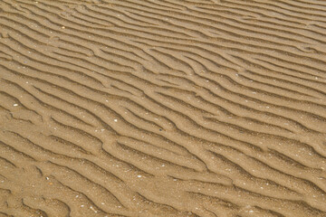 Ondes dessinées dans le sable par l'eau et le vent