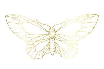 Decorative winged insect of a golden butterfly. Vector graphics.