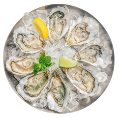 Fresh oysters in bowl with ice and lemon isolated on white background