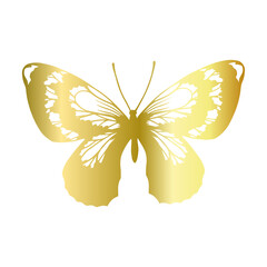 Decorative winged insect of a golden butterfly. Vector graphics.