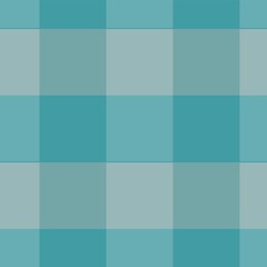 Gingham pattern. Illustration.Designed for textile, fashion design. Blue gingham fabric background that is seamless.