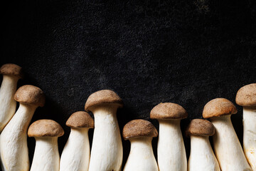 King oyster mushrooms, eryngii on a black background with space for text. Mushroom background